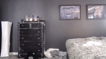 Alexiarain  30-09-2021 video ass